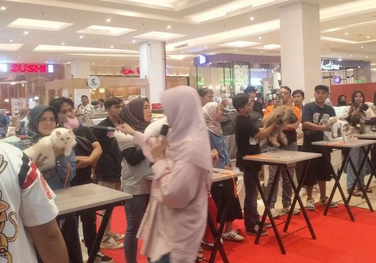CAT SHOW